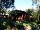 401 Terania Creek Road, The Channon NSW 2480