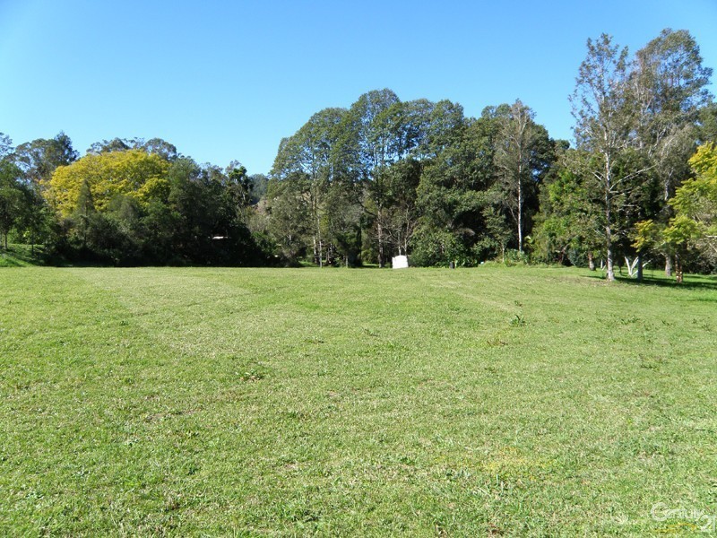 401 Terania Creek Road, The Channon NSW 2480