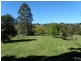 401 Terania Creek Road, The Channon NSW 2480