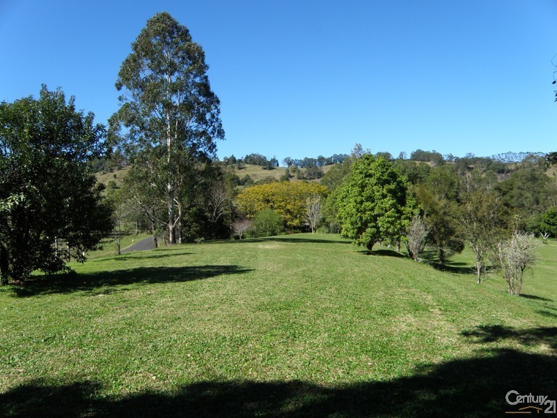 401 Terania Creek Road, The Channon NSW 2480