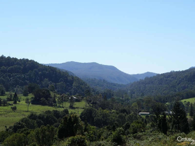 401 Terania Creek Road, The Channon NSW 2480