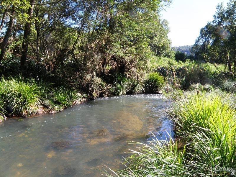 401 Terania Creek Road, The Channon NSW 2480