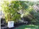 21 Pendara Crescent, Lismore Heights NSW 2480