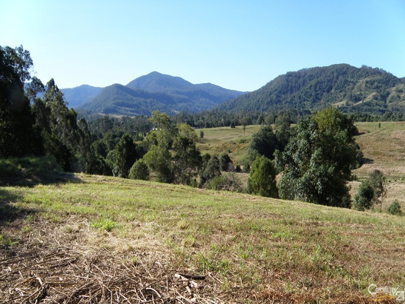 184 Tuntable Falls Road, Nimbin NSW 2480