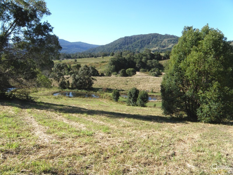 184 Tuntable Falls Road, Nimbin NSW 2480