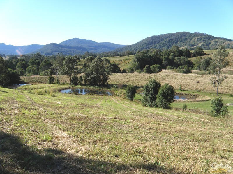 184 Tuntable Falls Road, Nimbin NSW 2480