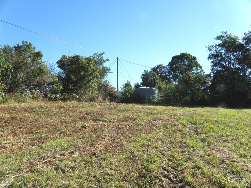 184 Tuntable Falls Road, Nimbin NSW 2480