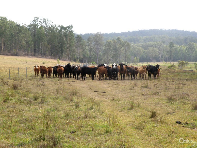 Lot 9 Old Tenterfield Road, Busbys Flat NSW 2469