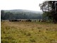 Lot 9 Old Tenterfield Road, Busbys Flat NSW 2469