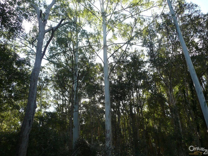 Lot 23 Old Tenterfield Road, Busbys Flat NSW 2469