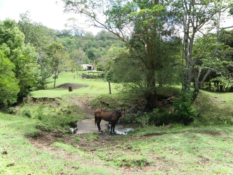 185 Yeager Road, Leycester NSW 2480