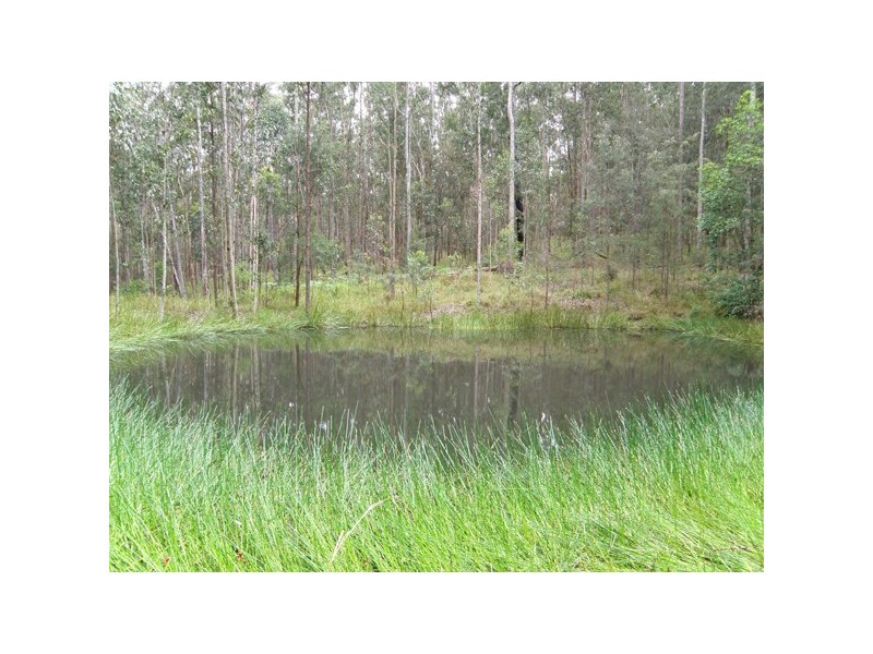Drake NSW 2469