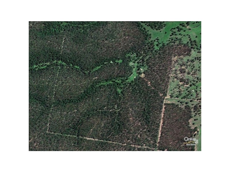 Shannon Brook NSW 2470