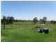 Ruthven NSW 2480