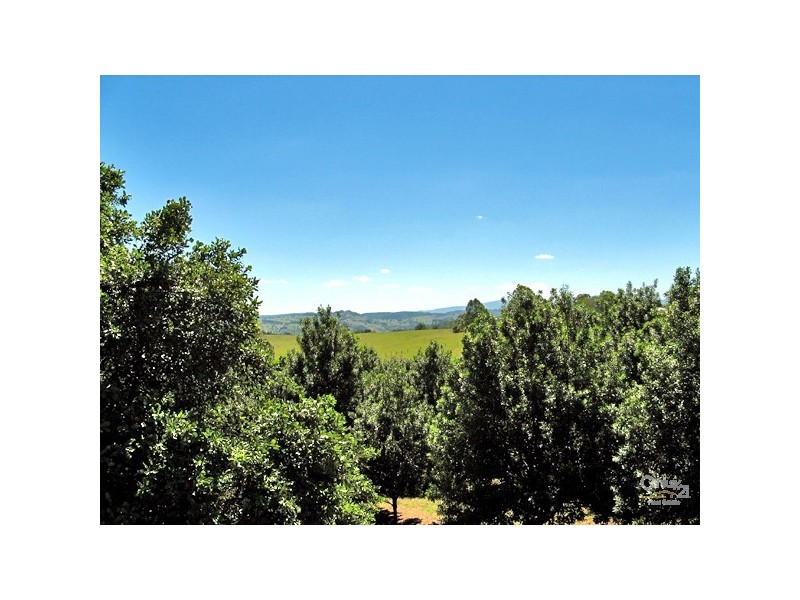 1313 Dunoon Road, Dunoon NSW 2480