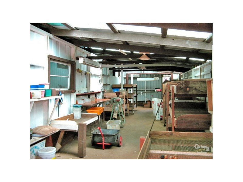 1313 Dunoon Road, Dunoon NSW 2480