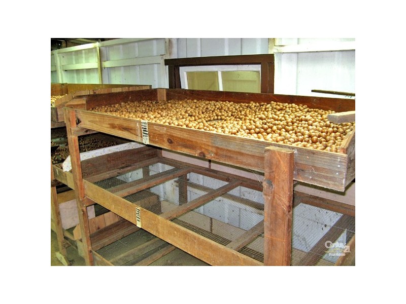 1313 Dunoon Road, Dunoon NSW 2480