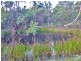 Lot 32 Bruxner Highway, Drake NSW 2469