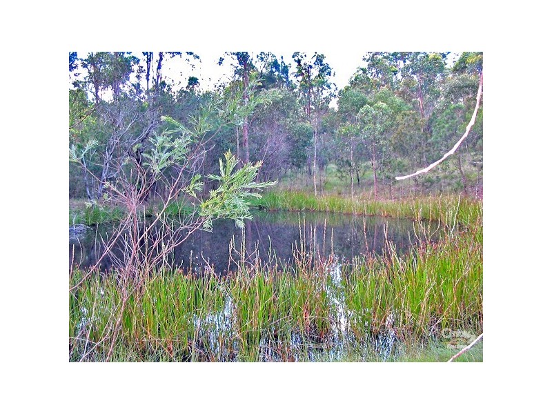 Lot 32 Bruxner Highway, Drake NSW 2469