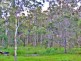Lot 32 Bruxner Highway, Drake NSW 2469