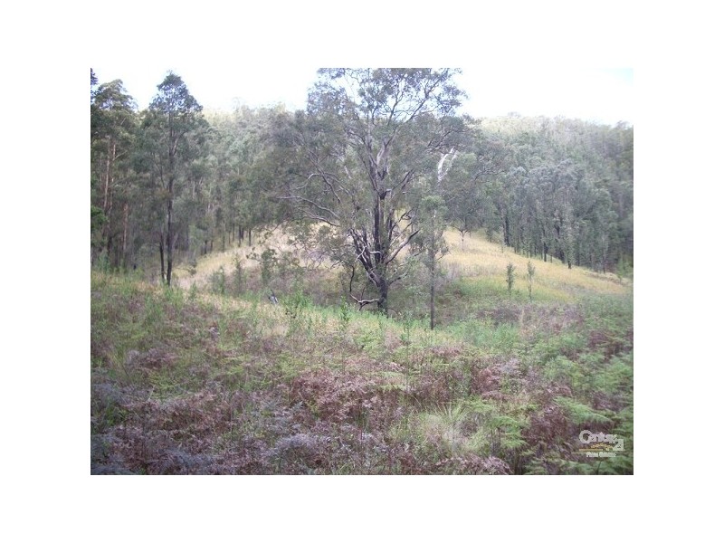 911 Long Gully Road, Drake NSW 2469