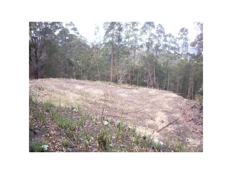 911 Long Gully Road, Drake NSW 2469