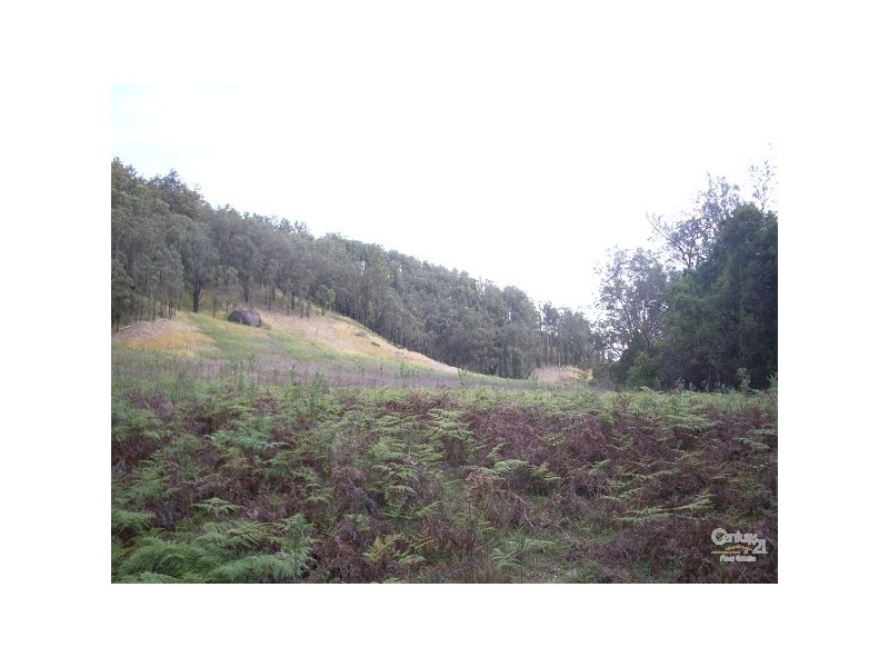 911 Long Gully Road, Drake NSW 2469