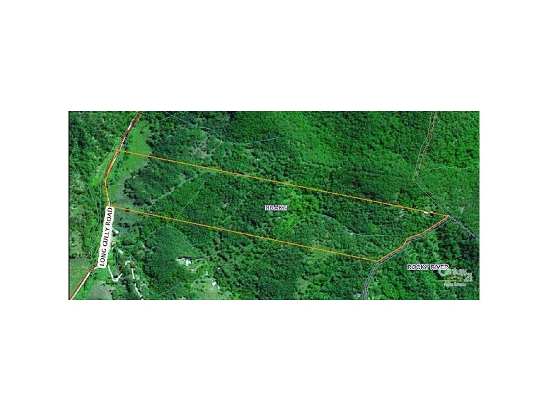 911 Long Gully Road, Drake NSW 2469