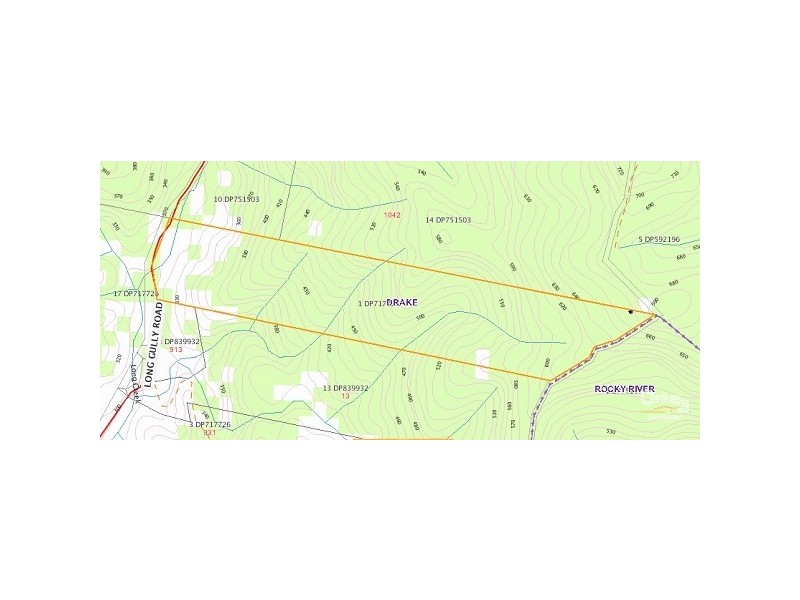 911 Long Gully Road, Drake NSW 2469