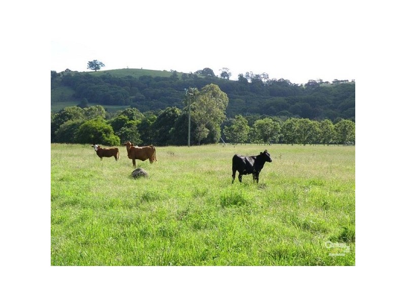 272 Graham Road, Marom Creek NSW 2480