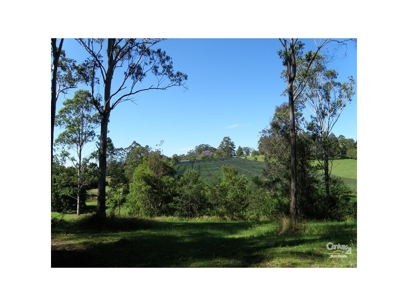 209 Billen Road, Georgica NSW 2480