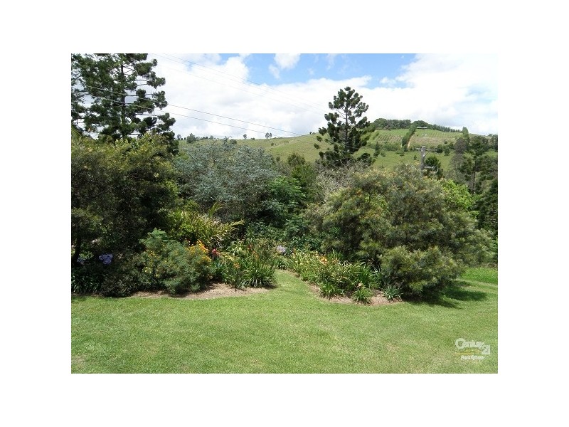 Booerie Creek NSW 2480