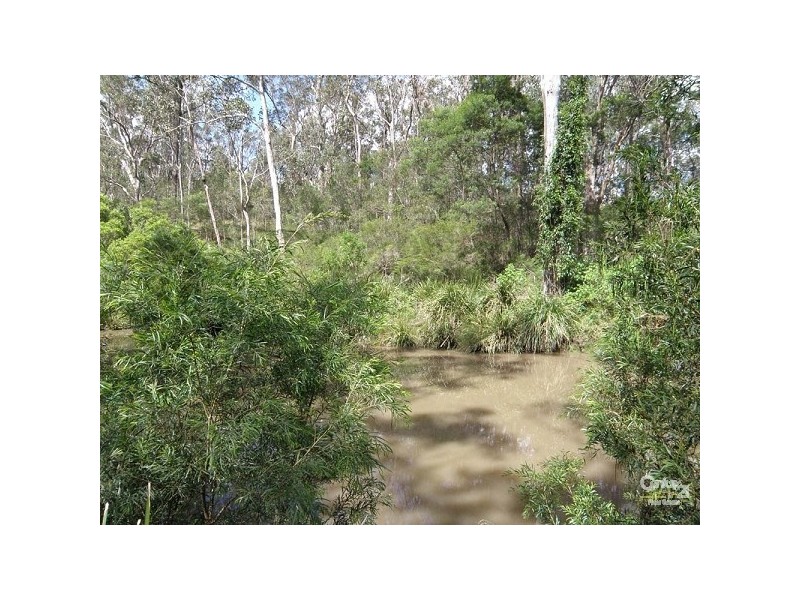 Lot 6 Ramsey Road, Drake NSW 2469
