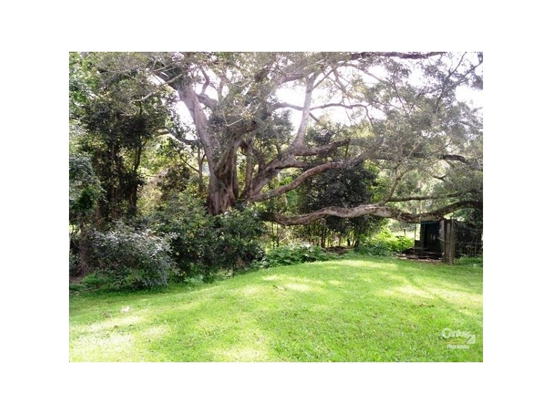 1340 Jiggi Road, Jiggi NSW 2480