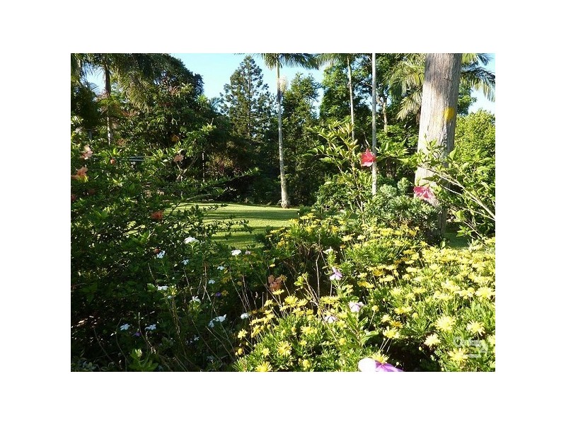 107 Milgate Road, Blue Knob NSW 2480