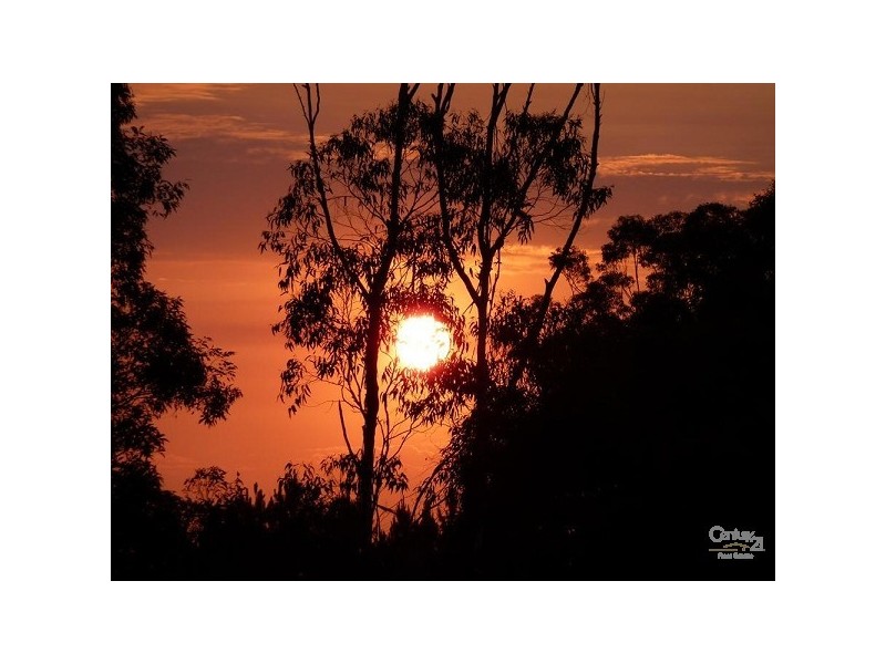 107 Milgate Road, Blue Knob NSW 2480