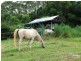 25 Starkey Road, Whian Whian NSW 2480