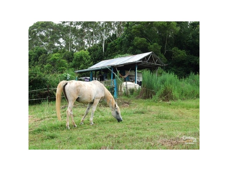 25 Starkey Road, Whian Whian NSW 2480