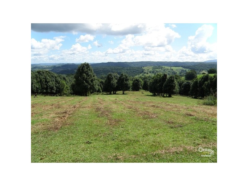 25 Starkey Road, Whian Whian NSW 2480
