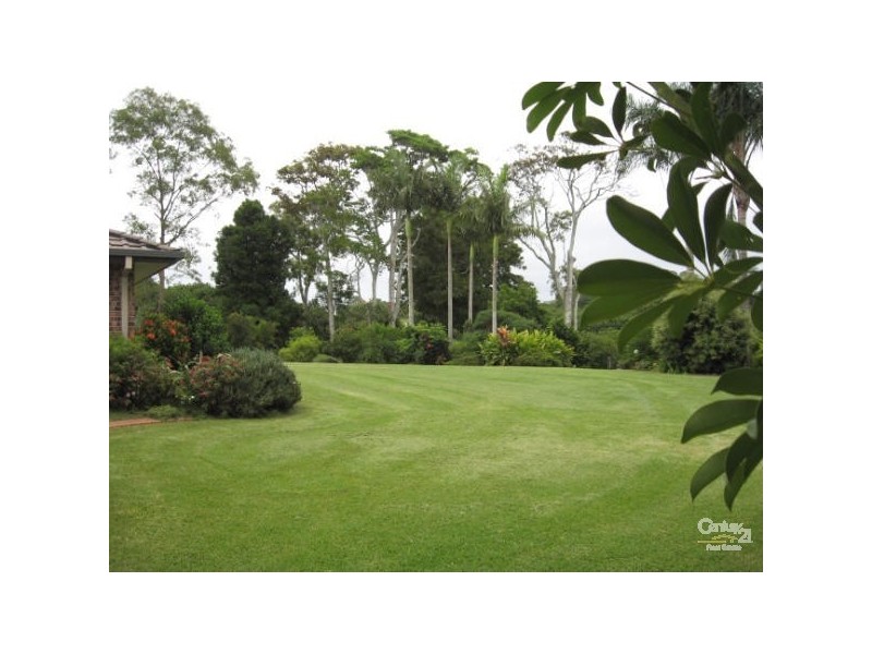 498 Cowlong Road, Mcleans Ridges NSW 2480
