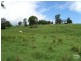 1238 Wyrallah Road, Wyrallah NSW 2480