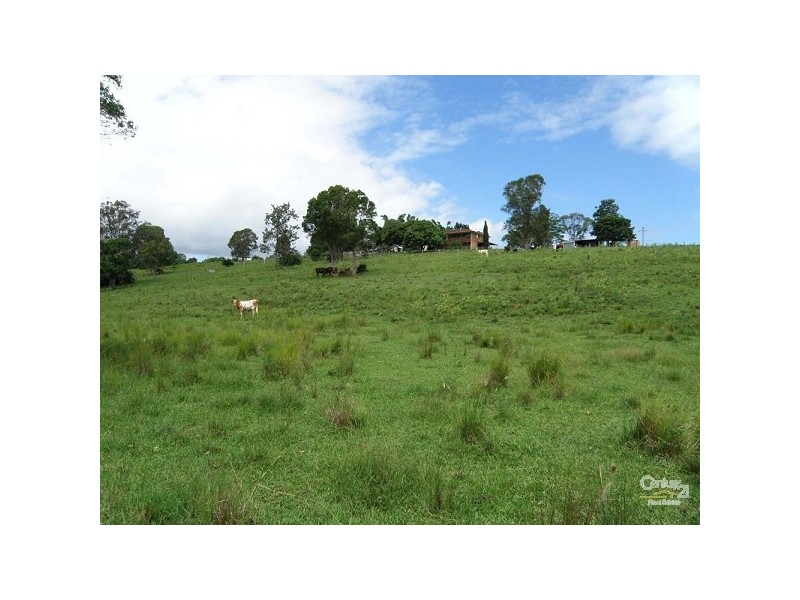 1238 Wyrallah Road, Wyrallah NSW 2480