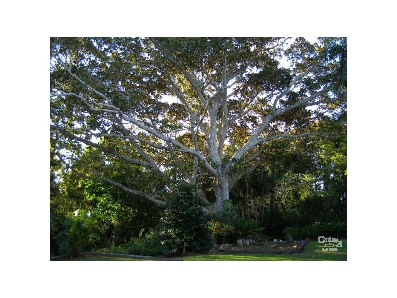 8 McConnell Drive, Richmond Hill NSW 2480