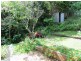 16 Kellas Street, Lismore Heights NSW 2480