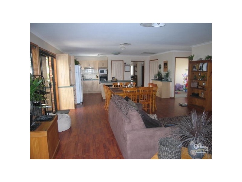 11 Dorrigo Street, Woongarrah NSW 2259