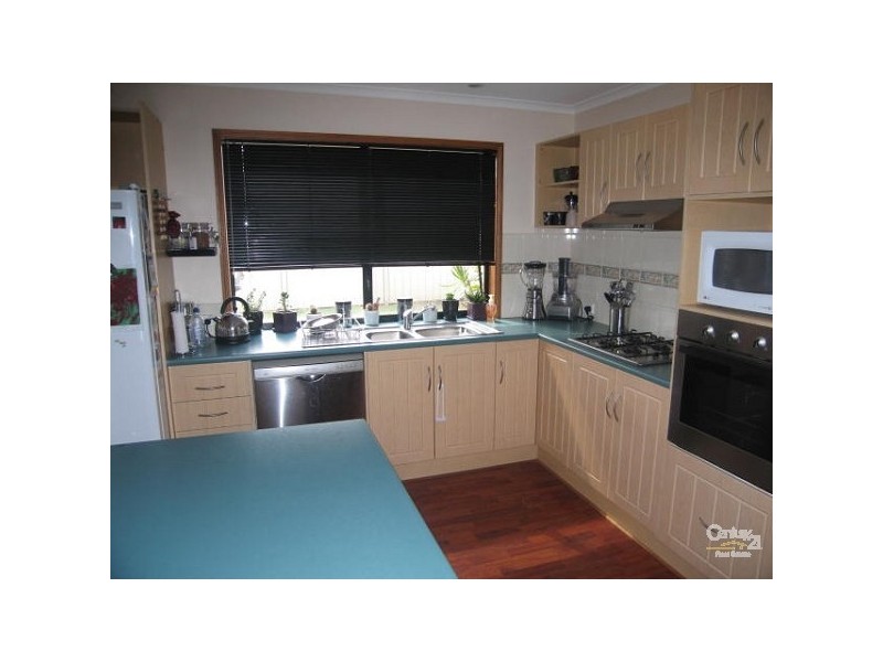 11 Dorrigo Street, Woongarrah NSW 2259