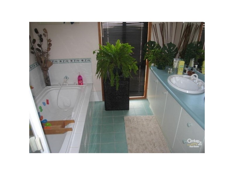 11 Dorrigo Street, Woongarrah NSW 2259