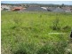Woongarrah NSW 2259