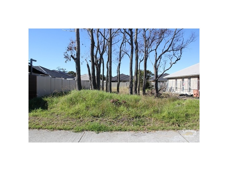 69 Waterside Dr, Woongarrah NSW 2259
