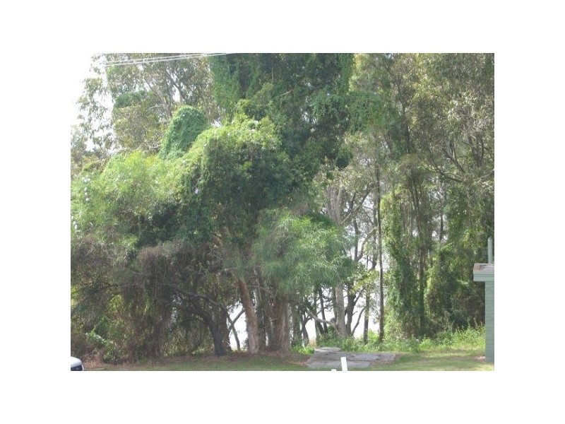 Wyongah NSW 2259
